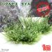 ( водоросли )* выращивание settled * Bubble mo стиль ( подводный лист )( нет пестициды )(1 шт )