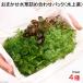 ( водоросли ) случайный водоросли набор упаковка 4 вид ( итого 40шт.@)( водный лист )( нет пестициды )(1 упаковка )