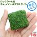 ( водоросли ) наматывать длина блокировка шерсть есть кий ba pearl-grass плитка ( водный лист )( нет пестициды )(1 шт )