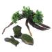 ( водоросли ) класть только простой расположение комплект Anubias nana маленький + наматывать длина Willow Moss коряга SS размер (1 комплект )