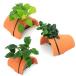 ( водоросли ) стандартный. Anubias nana3 вид терракота ракушка ta-( водный лист )(1 комплект )