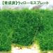 ( водоросли )* выращивание settled * Willow Moss plate ( подводный лист )( нет пестициды )(3 шт )