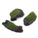( водоросли ) наматывать длина Bubble Moss коряга SS размер (10cm и меньше )( подводный лист )( нет пестициды )( 1 шт. )