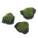 ( водоросли ) наматывать длина Bubble Moss . скальная порода SS размер (8cm и меньше )( подводный лист )( нет пестициды )(1 шт )