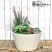 ���@���@���_�J���@�������@�z���C�g�@���a�S�S�����@�����Q�T�����@�y�ʂQ�����A����ɂ����A���Ȍ��݂P�D�Q�����@����l�l�R�_���� �֘A�摜3