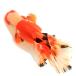 ( золотая рыбка ) один пункт предмет .. Голландия Lion Mask rose tail 16cm±( Indonesia производство )(1 шт )