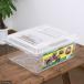  plastic case breeding container extra-large Flat clear (430×340×190mm) insect cage insect . one person sama 4 point limit 