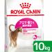  Royal kana n кошка aroma e расческа jento aroma для взрослой кошки 10kg 3182550767361. один человек sama 5 пункт ограничение Zip нет 