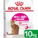  Royal kana n кошка Saber e расческа jento для взрослой кошки 10kg 3182550721660. один человек sama 5 пункт ограничение Zip есть 