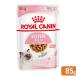  Royal kana n. кошка FHN-WETki щипцы re- Be рост поздняя версия. . кошка для 85g стандартный товар 9003579308943 [KN_201603_01]