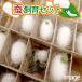 ( insect ). breeding set silk thread work . kit free research instructions attaching Honshu Shikoku limitation 