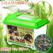 ( medaka )( water plants ) white me Dakar breeding set ( breeding container small green (225×150×165mm)Ver.) instructions attaching Honshu Shikoku limitation . one person sama 1 point limit 