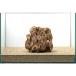  one point thing . fire stone parent stone 45cm aquarium for 857004