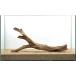  one point thing ghost wood 60cm aquarium for 857403