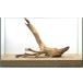  one point thing ghost wood 60cm aquarium for 857428
