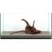  один пункт предмет дрифт дерево большой аквариум для 881069