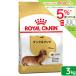  бесплатная доставка Royal kana n Dux fndo для взрослой собаки 3kg 3182550733830 Zip есть . один человек sama 5 пункт ограничение 