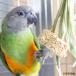 �R�[���u�[�P�@�V�R�f�ޒ��p��������@�n���h���C�h�@�o�[�h�g�C�@���^�C���R�@���^�C���R �֘A�摜4