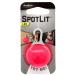  Platz NITE IZE спот lito neon розовый собака вечер LED. прогулка свет 