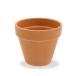  суккулентное растение te Rome стандартный pot 13cm. Ran кактус .... терракота 