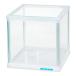 niso- стекло аквариум AQUARIUM TANK CU-MINI 150 стекло крышка есть 15cm аквариум ( одиночный ). один человек sama 5 пункт ограничение 