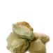  Evolution MORDENITE(morute Night ) 300g креветка разведение 