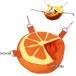  Rainbow фрукты cup orange гамак bed teg- Momo n канава s