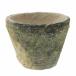  суккулентное растение античный pot диаметр 10×7.5cm чёрный mo спот стандартный 