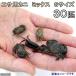 ( морская рыба ). надеты гарантия нет краб сырой приманка корм для краб Mix S размер (30 шт ). приманка 
