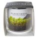 . новый керамика g последний Moss Skoke террариум культивирование комплект огород подарок мох мох террариум 