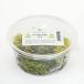  Финляндия Moss 10g террариум Blizzard цветок 