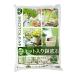  Pro to leaf повторение можно использовать! сеть ввод камни на дно горшка 0.5L×6 штук 