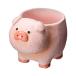  горшок little resin pot 4 . пара животное свинья 1 номер pot для горшок покрытие 