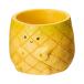  горшок little resin pot ананас 1 номер pot для горшок покрытие 