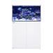 ( супер большой ) красный si-REEFER MAX 250 G2+ белый ( старый LED комплект ) Хонсю Сикоку бесплатная доставка * включение в покупку не возможно * оплата при получении не возможно 500 размер 7 выход 