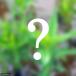 ( биотоп ) водное растения случайный иметь стебель вид (3 pot комплект )