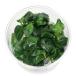 ( водоросли ) организация разведение Anubias bar Terry nana(1 cup )