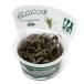 ( водоросли ) организация разведение GROWOW! Cryptocoryne s стойка белка Tiger ( нет пестициды )(1 cup ) D59 TC