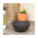  водяная лилия горшок водяная лилия горшок (me Dakar горшок ).RIN круглый темно-коричневый S водяная лилия горшок * круглый аквариум *me Dakar горшок 