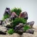 ( водоросли ) bee shrimp ... водоросли расположение комплект 