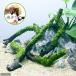 ( водоросли ) наматывать длина Willow Moss палочка коряга S размер ( примерно 15cm)( подводный лист )( нет пестициды )( 1 шт. )