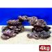 ( морская рыба )lai блок plate форма размер Mix (4kg)