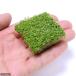 ( водоросли ) кий ba pearl-grass ( водный лист ) Cube модель ( примерно 4cm)( нет пестициды )(1 упаковка минут )