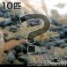 ( креветка ) корм для креветка Mix SS размер (10 шт )