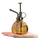 TOSSOW sprayer glass plant gardening sprayer antique style interior sprayer stylish watering can .