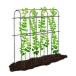 JIALAGESA.... полки комплект огурец полки овощи полки .. растения полки фигурная скобка растения фигурная скобка сад арка 