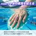 �X�C���p�h�� ���j �p�h�� ���j�p�h�� �X�C�~���O �V���m�[�P�����O �X�g���[�N �n���h�p�h�� �ؗ̓A�b�v ���K�p �p�h�� ���j�⏕�p������  �v�[�� �C �֘A�摜1