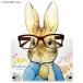  Peter Rabbit (TM) [ очки подставка ] очки подставка очки класть 