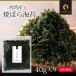 �C�� �Ă��΂�̂� 40g �O�͘p�Y ���[���� �������� �ĊC�� �Ă��C�� �Ă��o���̂� ���[���� ���X�` ��l��炵 ���Z ���� �H�i ���т̂��Ƃ� �֘A�摜1