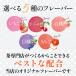 5��̃t���[�c�t���[�o�[ ���o�� �a�g�� �e�B�[�o�b�O 3.8g�~20��� �É����Y �L�@�a�g���g�p ��� ������ �������� ���� ���� �t���[�c�e�B�[ �֘A�摜2